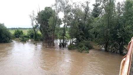 SITUAȚIE TRAGICĂ. Încă o zi cu distrugeri și pierderi de vieți omenești. O femeie de 47 de ani s-a înecat într-o baltă formată în urma ploilor | Peste 100 de case au fost inundate în ultimele 24 de ore