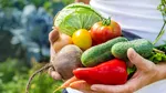 De ce fructele și legumele de acum nu mai au gustul de pe vremea bunicilor. Cum a apărut fenomenul de „foame ascunsă”