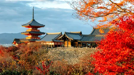 Motivul pentru care casele din Japonia nu au burlane pentru drenarea apei de ploaie. De ce nu se folosesc aici, de fapt