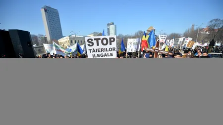 Peste 3.500 de reprezentanți ai industriei lemnului pichetează sediul Guvernului