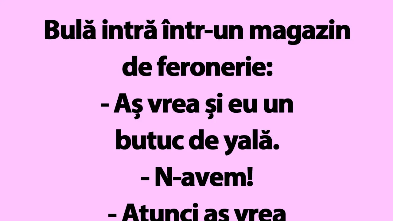BANC | Bulă intră într-un magazin de feronerie