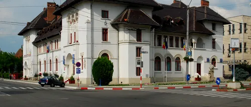 Cum arată cel mai scump brad din România. Primăria Târgu-Jiu a plătit pe el peste 100.000 de euro 