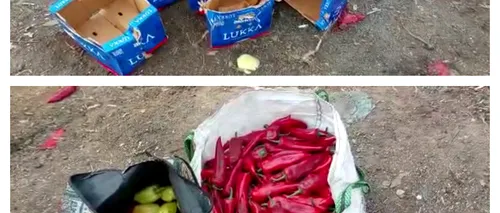 VIDEO | Un TIR plin cu legume s-a răsturnat, în județul Mehedinți. Localnicii și-au umplut sacoșele cu marfa abandonată pe marginea drumului