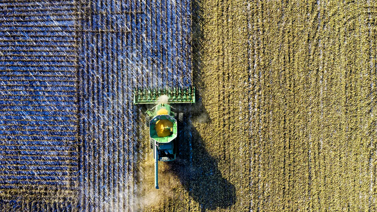 Fructul cu care agricultorii din România au dat lovitura! Câștigă 20.000 de euro pentru fiecare hectar cultivat