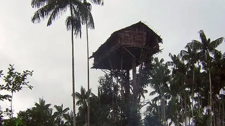 BBC recunoaște: Unul dintre cele mai apreciate documentare are scene trucate