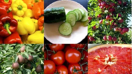 Alimentele care nu ar trebui să lipsească din dieta zilnică în luna septembrie