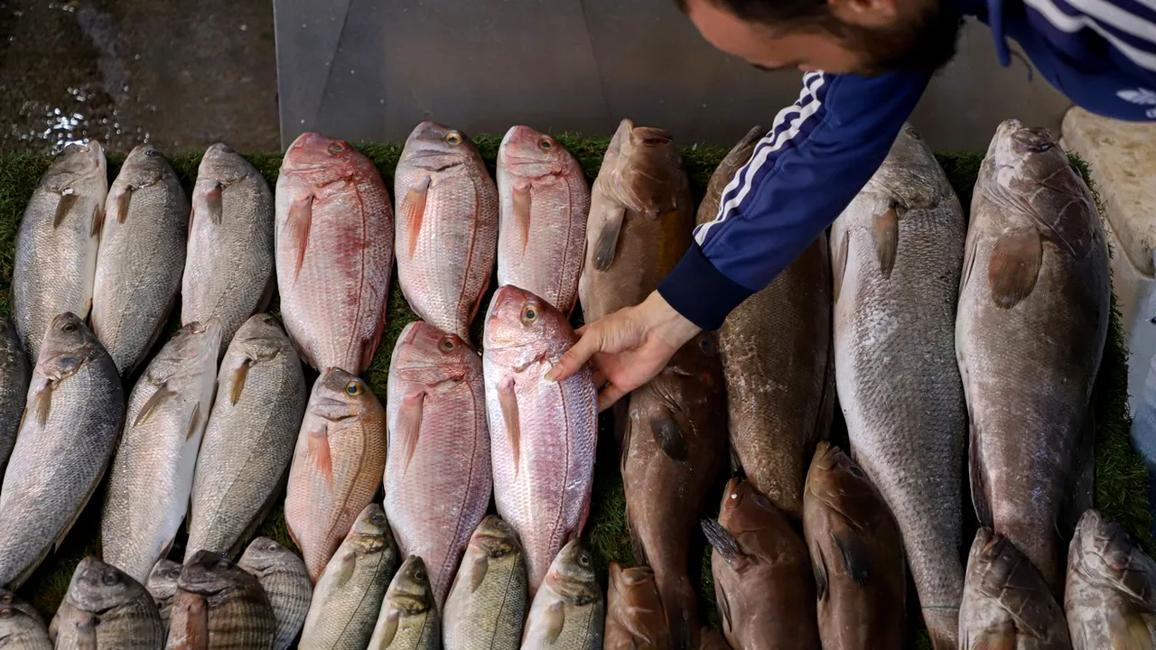 Care este ȚARA în care poți cumpăra doar două kilograme de pește sau jumătate de cutie de ouă cu salariul minim