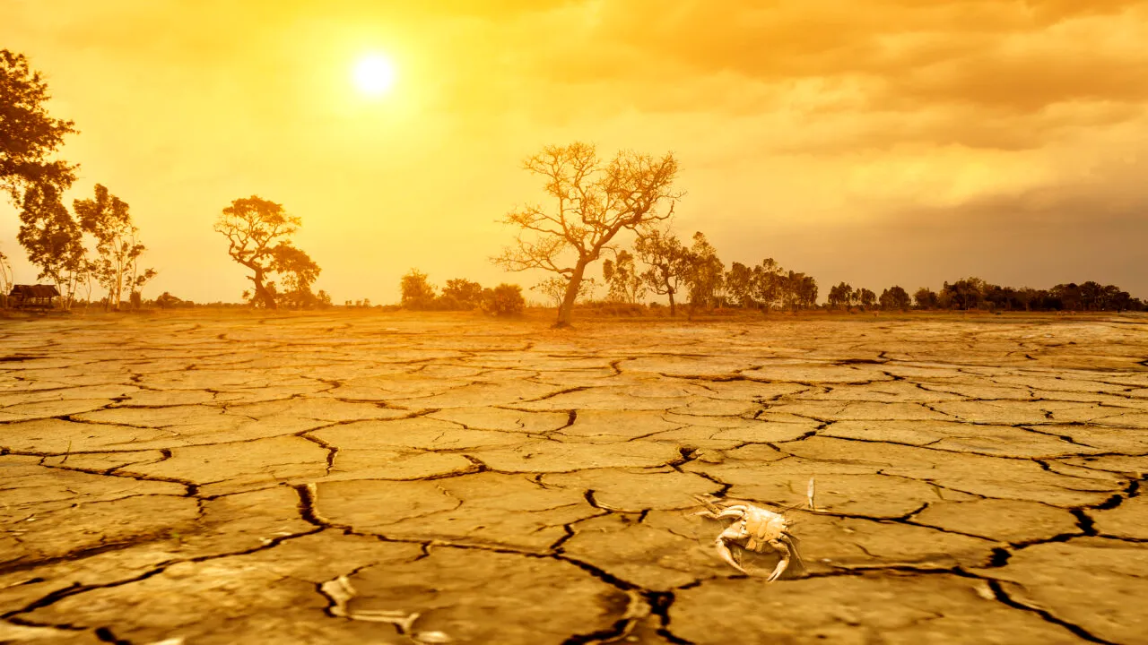 Perioada 2023-2027 va fi cea mai CALDĂ înregistrată vreodată, atrag atenția specialiștii