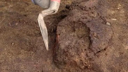 Descoperire de proporții în Norvegia: un craniu din Epoca de Piatră ar putea conține materie cerebrală bine conservată