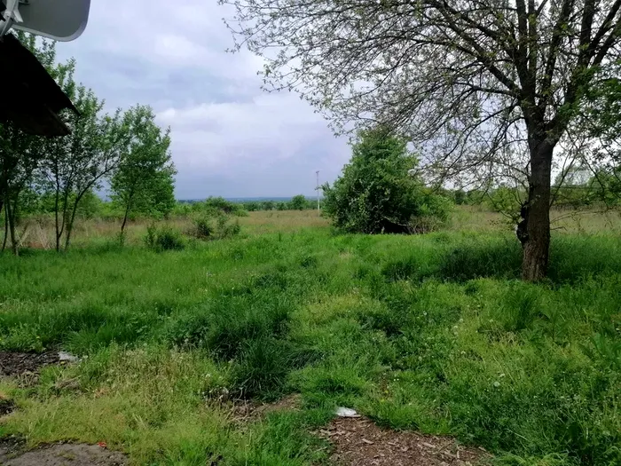 Casă + teren 1300 mp, de vânzare cu doar 5000 de euro. Localitatea din România în care o poți cumpăra / Colaj foto OLX