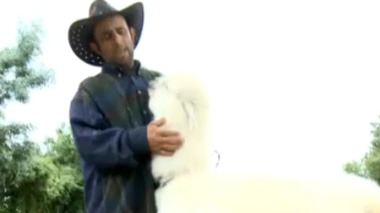 1 IUNIE, ZIUA COPILULUI. Programe speciale de 1 iunie. Unde puteți merge pentru a sărbători ziua copilului