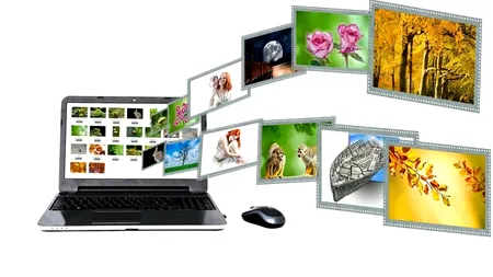 Ce s-a întâmplat pe internet, în timpul crizei medicale. Sintagma „comandă online” a înregistrat un nivel-record al ultimilor cinci ani în ceea ce privește căutările pe Google