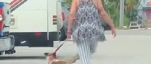 O tânără a ajuns după gratii, după ce a fost filmată în timp ce își abuza câinele. Scuza pe care le-a spus-o polițiștilor - VIDEO