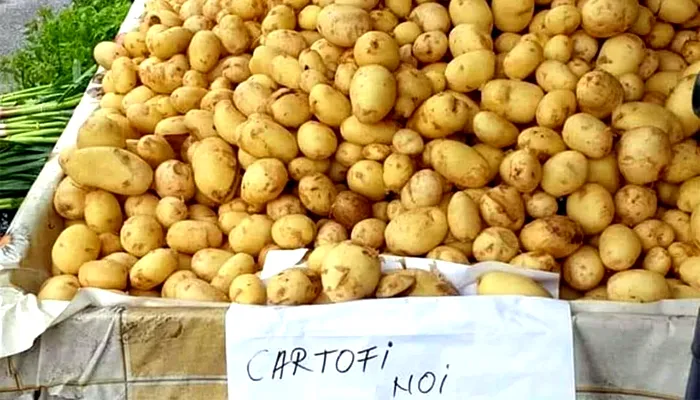 Cât costă 1 kg de cartofi noi/Prima recoltă pe 2025, în Dăbuleni, Dolj