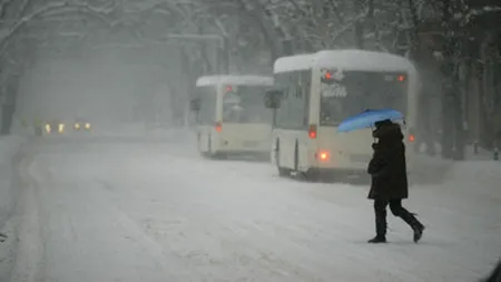 VREMEA. Ce spun meteorologii ANM despre ninsorile din martie și care sunt efectele asupra culturilor agricole
