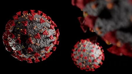 Sursa cheagurilor de sânge apărute în rândul pacienților COVID-19, descoperită de oamenii de știință din Irlanda