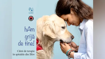 CÂINI de terapie în spitalele din ILFOV/Hubert THUMA: Acest proiect nu ne costă nimic pe noi, ca instituție publică