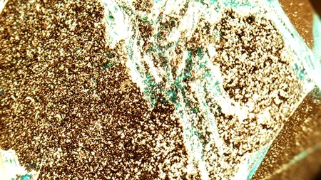 Descoperirea care ar putea revoluționa fizica