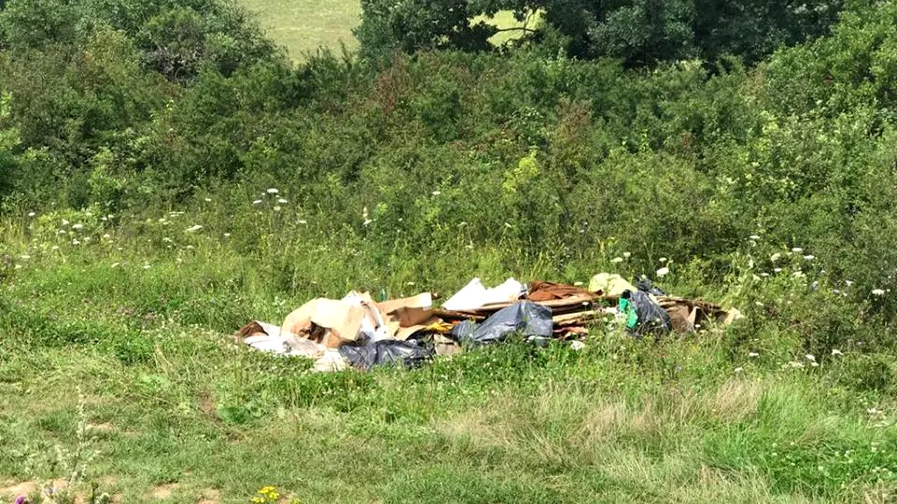 Amendat pentru că aruncase gunoiul LA MARGINEA DRUMULUI