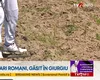 TEZAUR roman găsit în Giurgiu: Aproape 1500 de denari de argint, descoperiți de un căutător amator