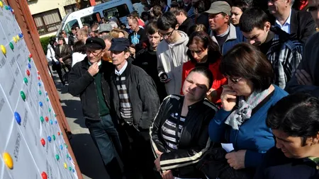 Peste 16.600 de locuri de muncă vacante, la nivel național. Județele cu cele mai multe oferte