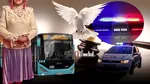 Proces „nino-nino” la Constanța. O bunicuță care a scăpat de urmărirea poliției cu un autobuz, a fost iertată de justiție pentru că a traversat aiurea