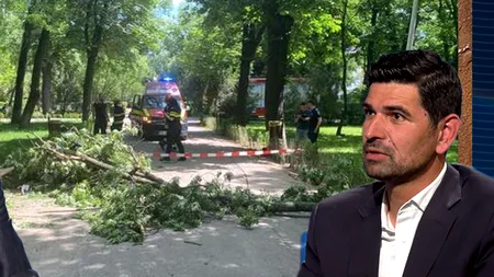George Tuță atrage atenția asupra problemei securității din PARCURILE sectorului 1: “Ce s-a întâmplat în Parcul Bazilescu este revoltător“