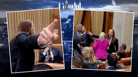 Președinta POT n-a mai putut și a cedat nervos la dezbaterile pe Buget. A început sa urle la o fostă colegă de partid. Ce a enervat-o