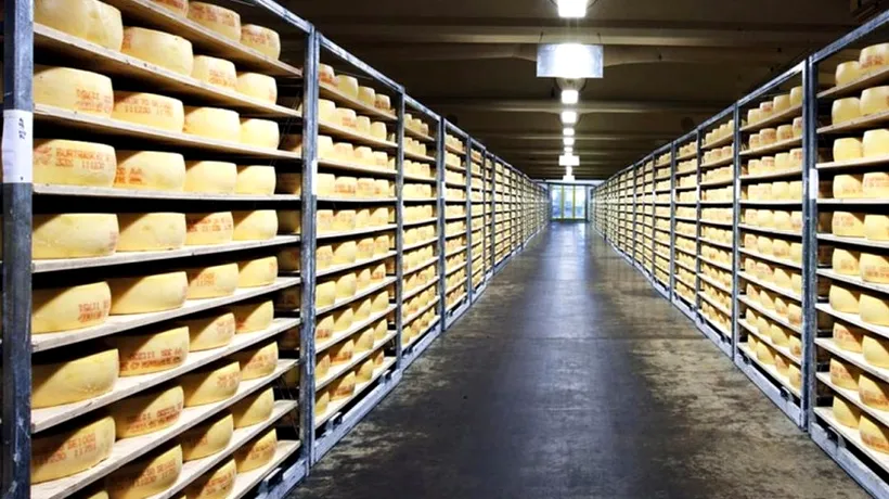 Cea mai apreciată brânză din lume a apărut dintr-o greșeală și are un secret ciudat pe care nu îl poate explica nimeni