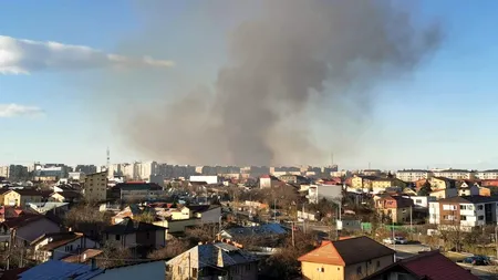 Incendiu în Delta Văcărești: Ard circa 20.000 de metri pătrați / Numărul pompierilor a fost suplimentat - VIDEO