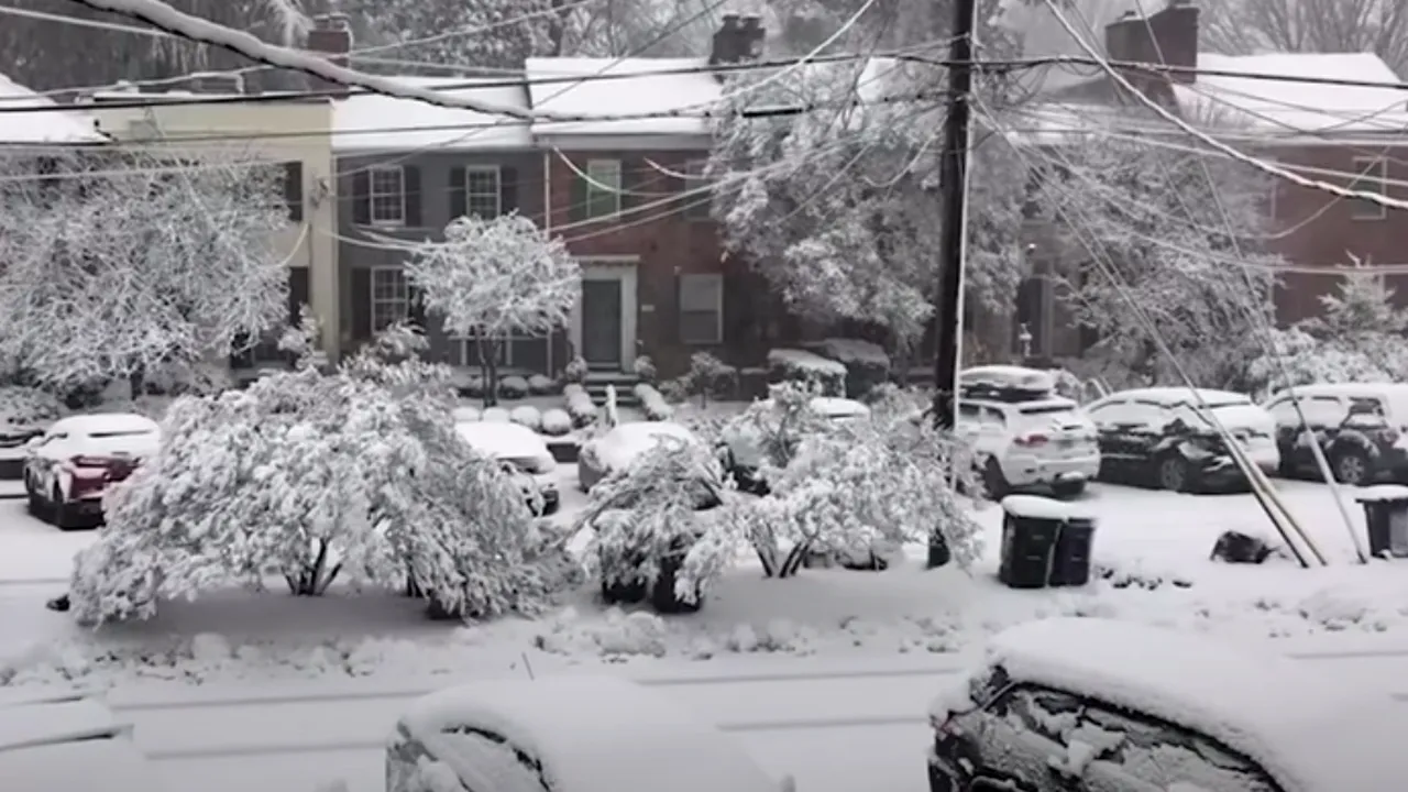 VIDEO | O furtună de zăpadă a blocat Washington și a anulat peste jumătate din zboruri. Joe Biden a avut probleme la coborârea din Air Force One, din cauza viscolului