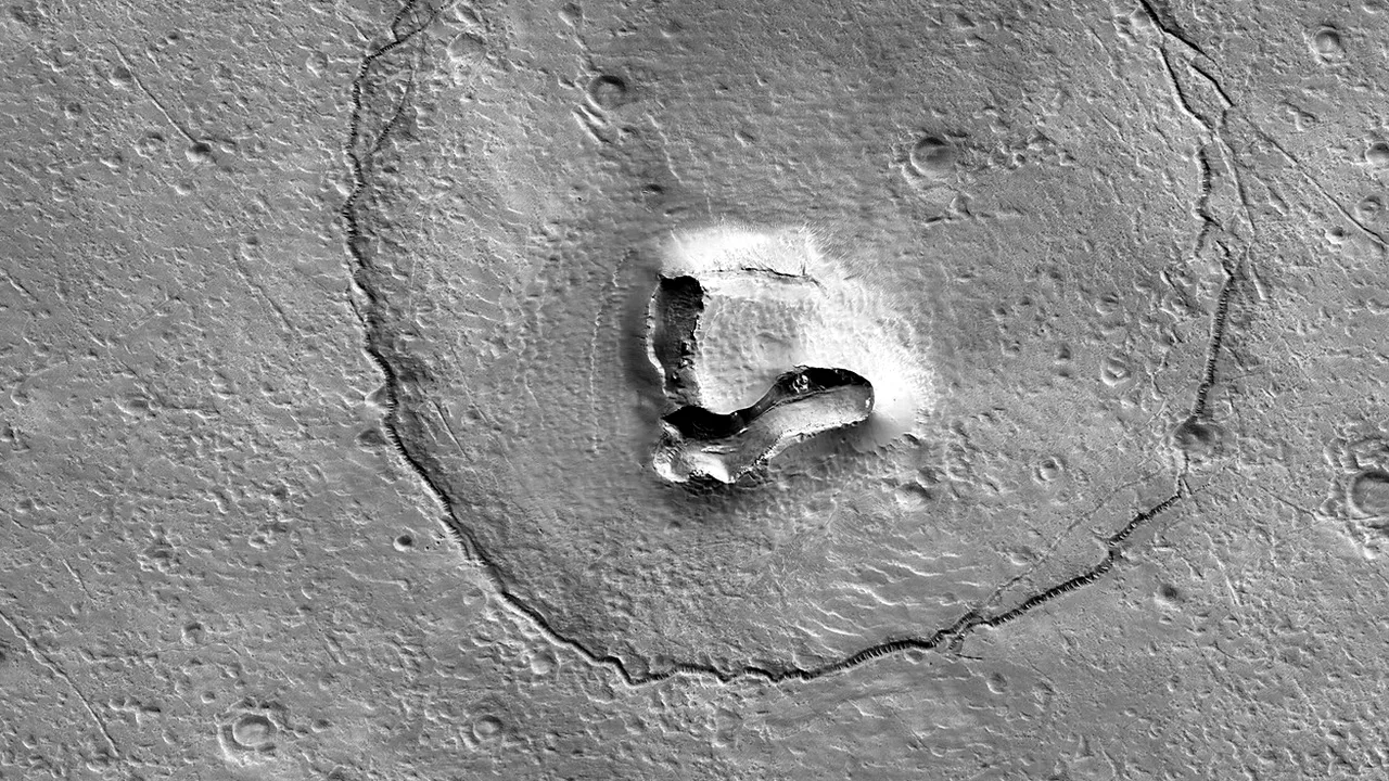 O fotografie publicată de NASA a devenit virală. Fața unui urs, pe Marte