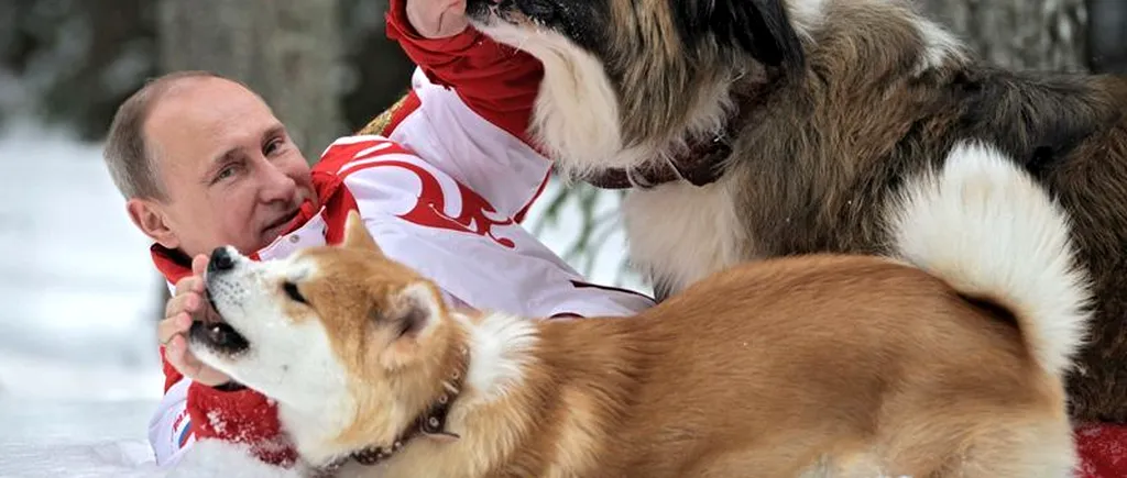 FOTO. Vladimir Putin și-a luat câinele la o întâlnire oficială, la Soci