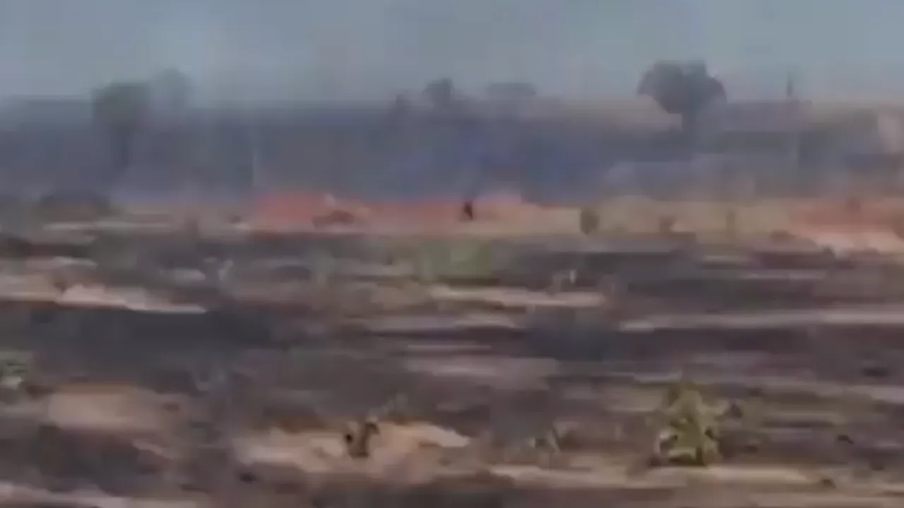 Numărul incendiilor de pădure a crescut cu 85% în Pădurea Amazoniană