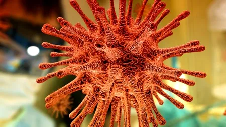 BILANȚ.  416 cazuri noi de COVID-19 în ultimele 24 de ore! Încă 23 de persoane răpuse de temutul virus