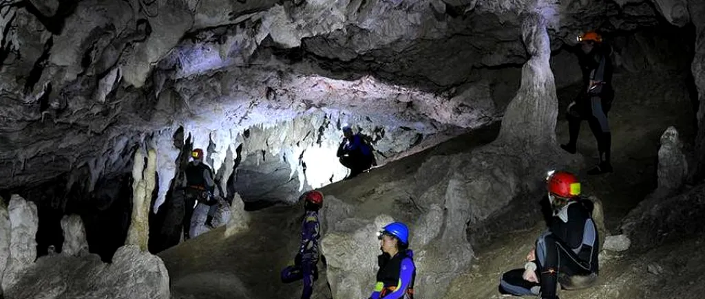 Într-o peșteră din România hibernează cea mai mare colonie de lilieci din Europa
