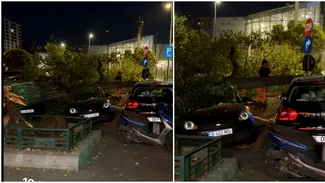 Clipe de coșmar în sectorul 6 al Capitalei. Un copac s-a prăbușit peste trei mașini și un motociclist. Bărbatul a fost transportat de urgență la spital