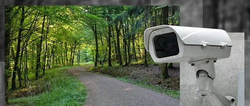Proprietarii de păduri sunt obligați să asigure supravegherea video a drumurilor forestiere. Vor beneficia și de finanțare