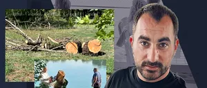 Cum se taie arborii în HERĂSTRĂU ca să se extindă Taverna Racilor. ALPAB, pe mână cu Pescobar! Ce se întâmplă în administrația Nicușor Dan, marele protector al spațiilor verzi