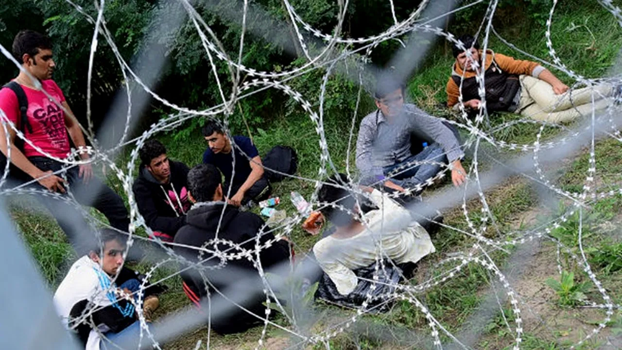 Ungaria a terminat gardul de sârmă ghimpată de la frontiera cu Croația 