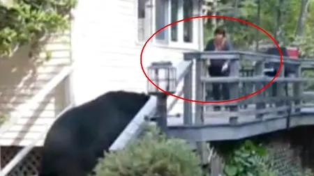 VIDEO. Moment amuzant cu reacția unui urs surprins în momentul când voia să intre într-o casă