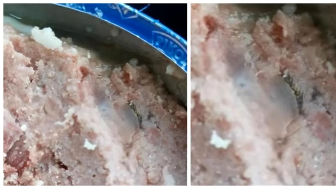 Descoperire ȘOCANTĂ într-o conservă de carne de vită de la Lidl: „Sunt gene și sprâncene” (VIDEO)