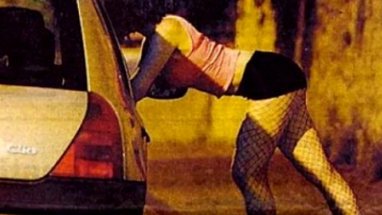 Prostituția viitorului: 