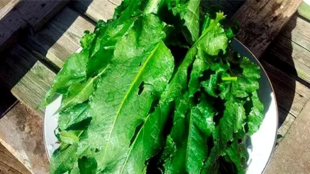 Dieta de primăvară care te scapă rapid de kilogramele nedorite și îți transformă sângele