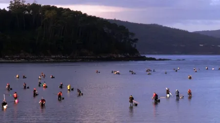 Festivalul de Film PELICAM aduce pe marele ecran documentare despre oameni și mediu. 