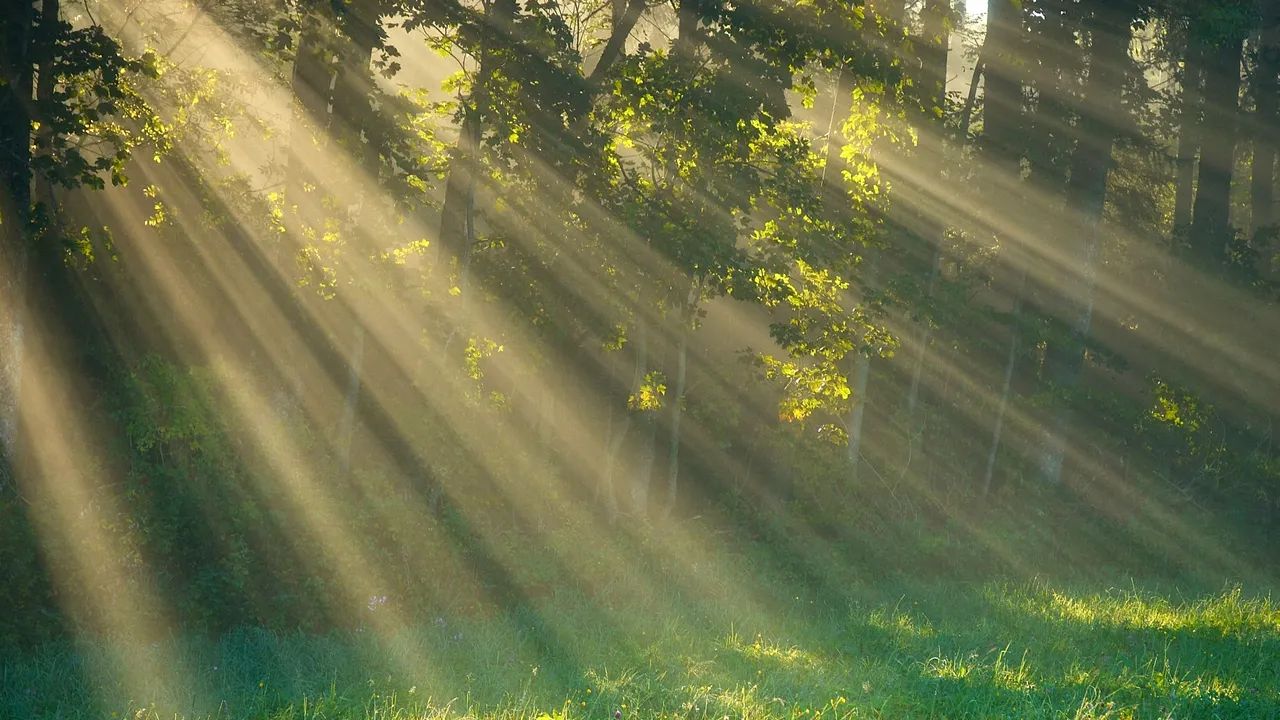 Prognoza METEO pentru acest weekend. Cum va fi vremea la referendum
