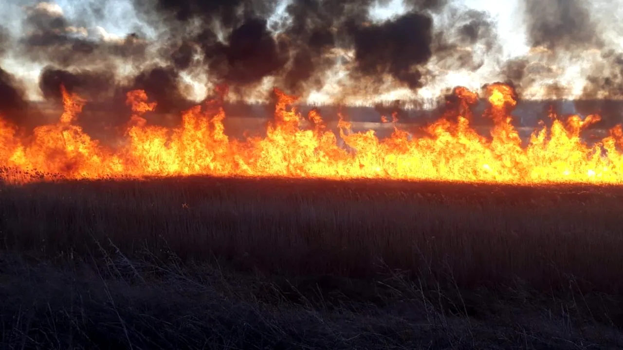 Incendiu puternic în Olt. Au ars 70 de hectare de vegetație uscată