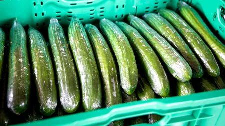 Motivul pentru care castraveții lungi sunt vânduți într-o folie de plastic, în supermarket. Ce rol are aceasta, de fapt
