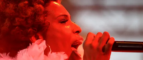 CONCERTE NOIEMBRIE: Macy Gray, Seal, muzică de cameră și operetă