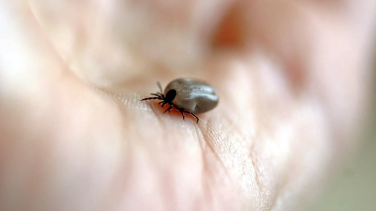 Lumea, la un pas de dezastru! Schimbările climatice fac posibilă răspândirea unui virus extrem de periculos în Europa